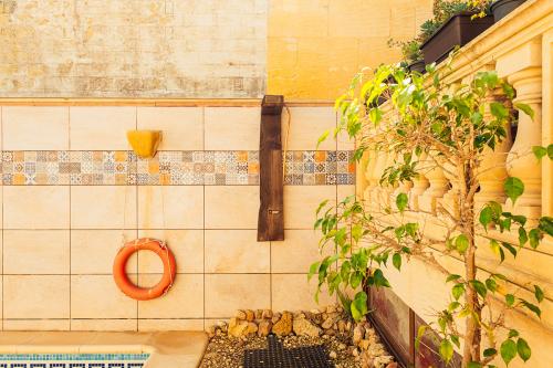 narcisa-bb_gozo_malta-129