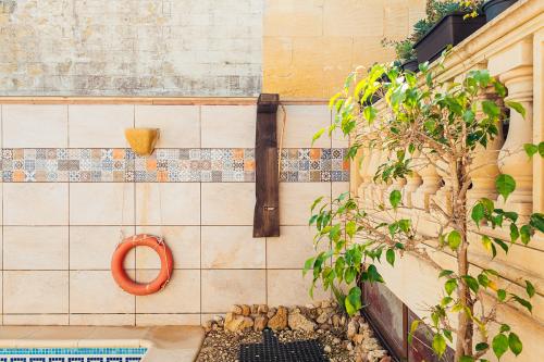 narcisa-bb_gozo_malta-130