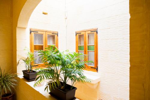 narcisa-bb_gozo_malta-241